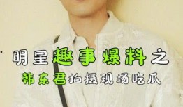 职业吃瓜君,揭秘娱乐圈幕后真相的神秘推手