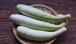 吃瓜0.5块,0.5元尽享美味