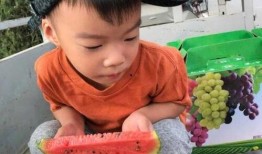 拍照的人吃瓜的人,捕捉光影中的酸甜苦辣