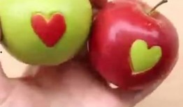 吃瓜玫瑰花,揭秘花语中的甜蜜与苦涩