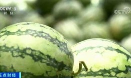 吃瓜一百秒,吃瓜一百秒，洞察明星幕后故事