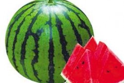 九小时吃瓜,揭秘娱乐圈幕后故事