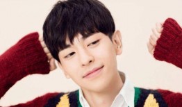 陆雪吃瓜l,揭秘娱乐圈背后的那些事儿