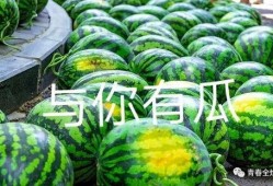 吃瓜大学是什么学校