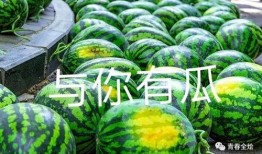 吃瓜大学是什么学校