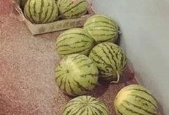 旁边的吃瓜,揭秘娱乐圈最新热点事件