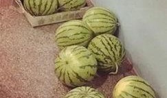 旁边的吃瓜,揭秘娱乐圈最新热点事件