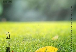 立秋吃瓜活动结束文案,共享丰收喜悦