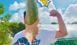 网红吃瓜聊天,揭秘娱乐圈幕后故事