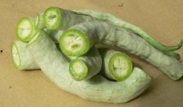 蛇瓜孕妇可以吃吗,孕妇适宜食用的蛇瓜营养指南