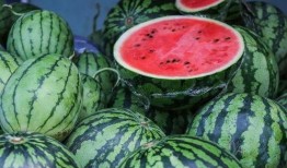 小结瓜怎么吃,探索小结瓜的多彩食法