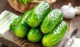 瓜的叶子可以吃,叶中珍馐的绿色诱惑