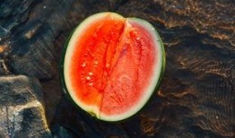 通渭吃瓜,瓜果飘香，品味田园生活