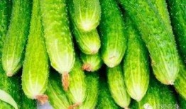 清热解毒吃瓜,清热解毒，吃瓜养生攻略