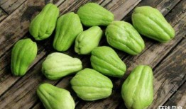 佛手瓜怎么炒吃