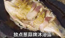 鱼会吃哪些瓜,揭秘鱼类喜爱的瓜类食物