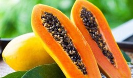 月经期可以吃小瓜吗,月经期适宜食用小瓜的饮食建议