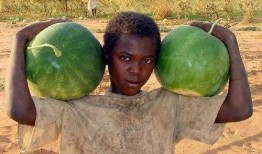 吃美国大瓜,揭秘明星们的秘密生活