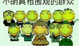 吃瓜群众和当官区别,吃瓜群众与当官者的生活差异揭秘