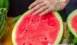 吃瓜学校山东,揭秘校园里的独特文化现象