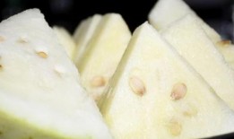 尿酸高吃白瓜行吗,白瓜食用指南