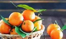 橘子公主好看吃瓜,美丽与美味的双重诱惑