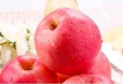 吃苹果瓜视频,美味与营养的完美结合