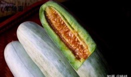 吃羊角蜜瓜,甜蜜诱惑，夏日消暑佳品