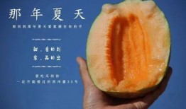 在18楼吃瓜,揭秘都市生活百态