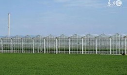 蛇瓜吃货,吃货眼中的独特风味之旅