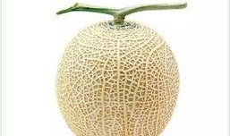 瓜哥吃瓜重庆图片头像,重庆街头风情尽收眼底