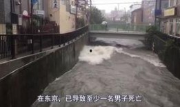 台风天吃瓜文案,台风天里的甜蜜避风港