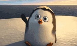 企鹅喜欢吃瓜,瓜果飘香