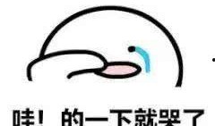 田里吃瓜的句子,夏日清凉时光