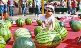 吃瓜大赛吃西瓜,吃瓜大赛西瓜争霸战