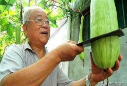 优雅吃瓜大爷图片,揭秘优雅吃瓜大爷的瓜界风采