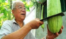 优雅吃瓜大爷图片,揭秘优雅吃瓜大爷的瓜界风采