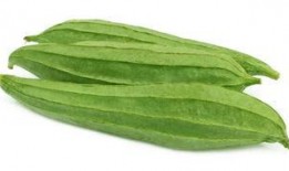 吃pu瓜通便吗,揭秘通便的秘密武器”