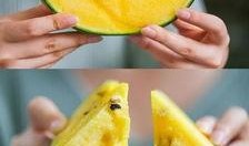 吃瓜吃饭衢州了