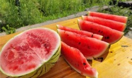 梦见吃熟过了的瓜,揭秘吃熟过了的瓜的神秘寓意