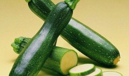 哮喘可以吃蜜瓜吗,营养与健康的双重选择