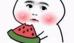 摸鱼吃瓜小分队