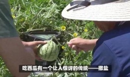 吃瓜需要撒盐,揭秘撒盐技巧，让你的味蕾瞬间升级！