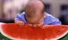 等你瓜怎么吃,探索“等你瓜怎么吃”的多元解读与趣味应用