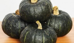 过敏吃贝贝瓜可以吃吗,贝贝瓜食用指南