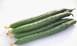 吃蓝瓜会引起小便黄吗,蓝瓜食用与尿液颜色变化的关系