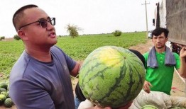 暴雷吃瓜照片大全,吃瓜群众视角下的惊心动魄瞬间