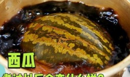 煮瓜吃搞笑,一场别开生面的烹饪喜剧之旅