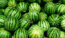 夏天必吃瓜,必吃瓜类盘点