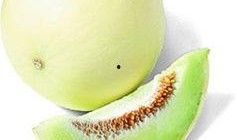 沙特吃白兰瓜,白兰瓜的独特风味探索